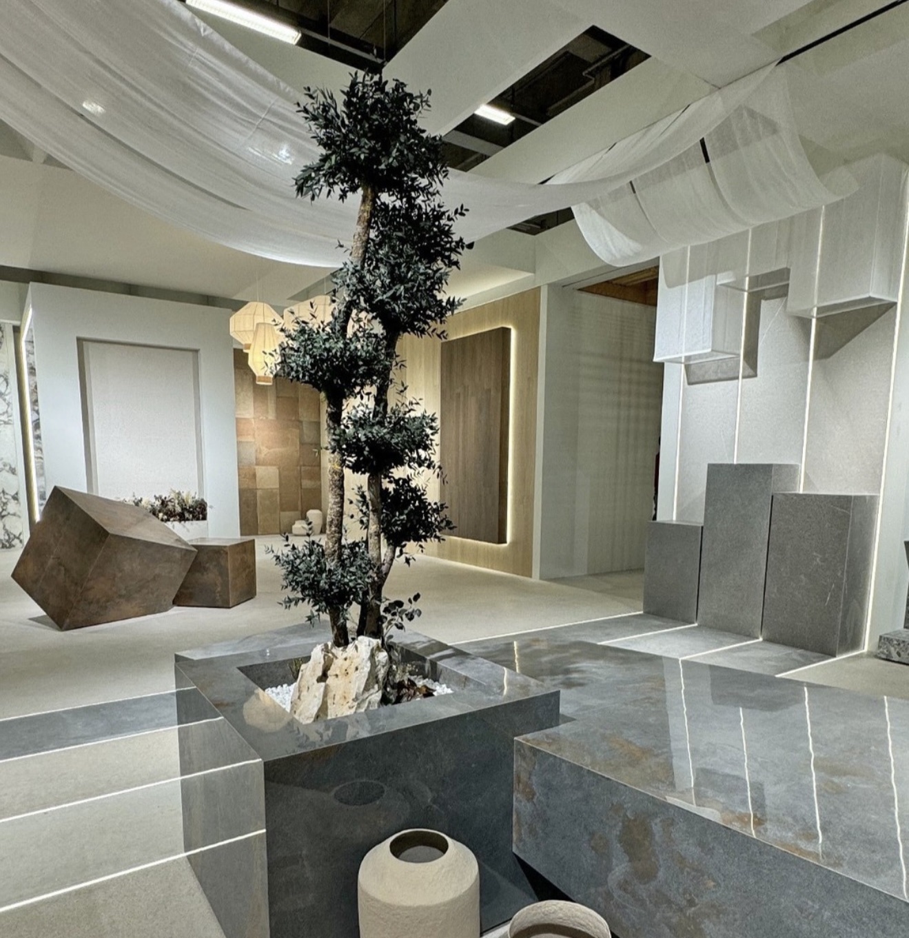 Arbore Eucalipt Parvifolia 7 sfere Arbore Eucalipt Parvifolia 7 sfere