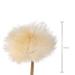 Floare de Anghinare Naturală (D.10/12 CM) - imagine 3