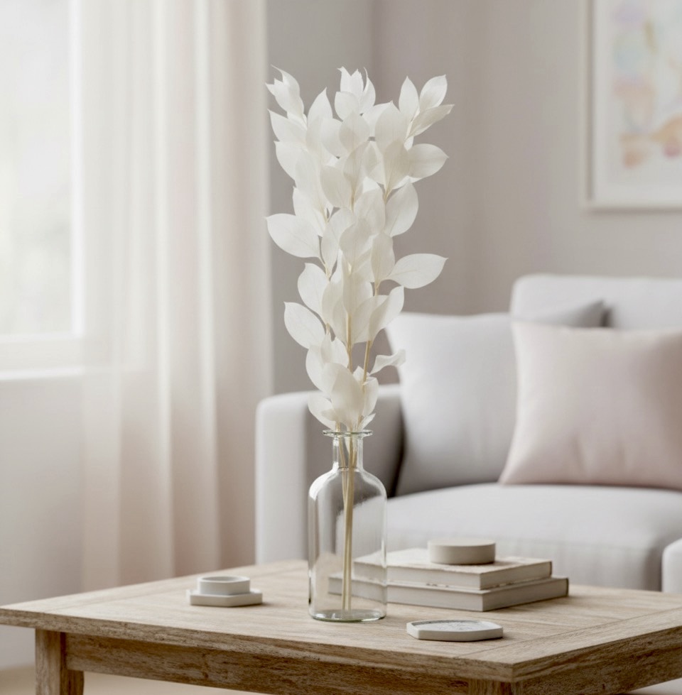 Ruscus Alb Stabilizat Ruscus Alb Stabilizat