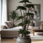 Bonsai Juniperus Natural Stabilizat 1.9 m